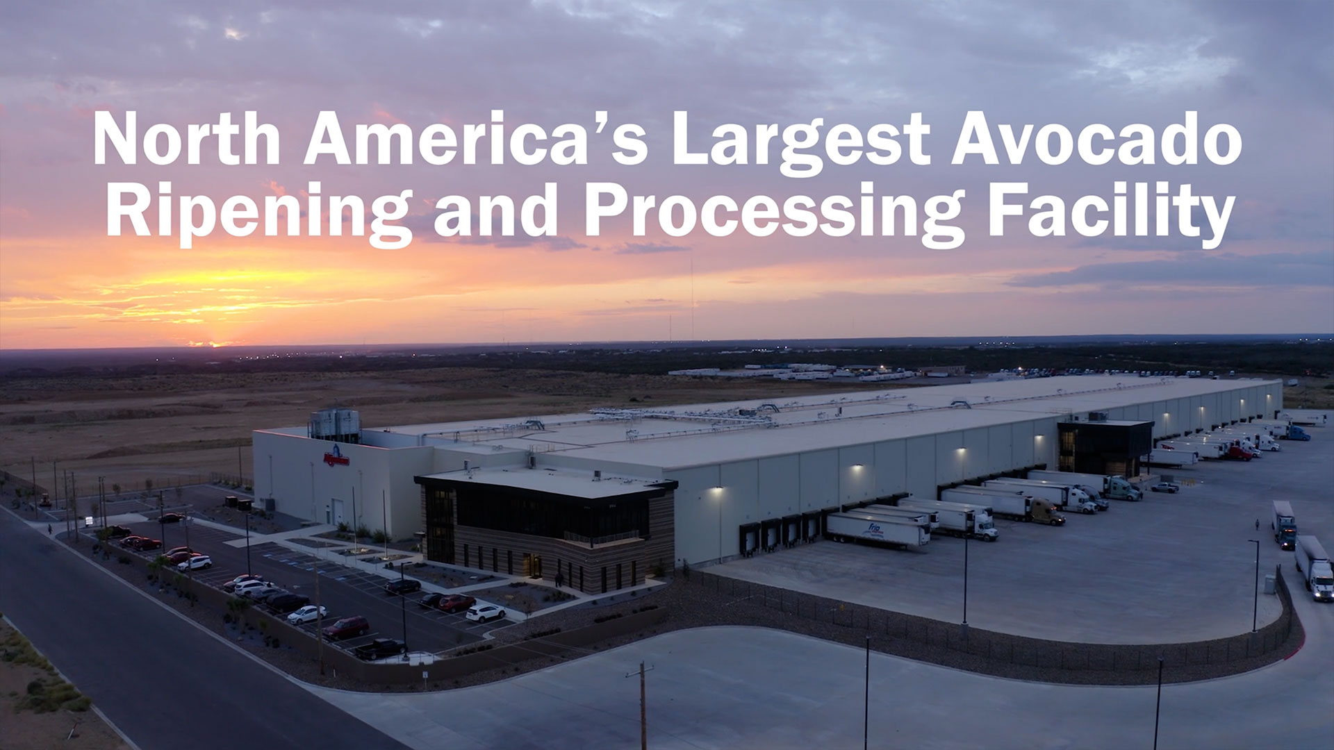 North America’s Largest Avocado Facility – A M King